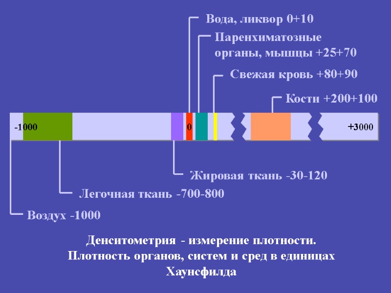 Вода, ликвор 0+10 Паренхиматозные органы, мышцы +25+70 Свежая кровь +80+90 Кости +200+100 Жировая ткань